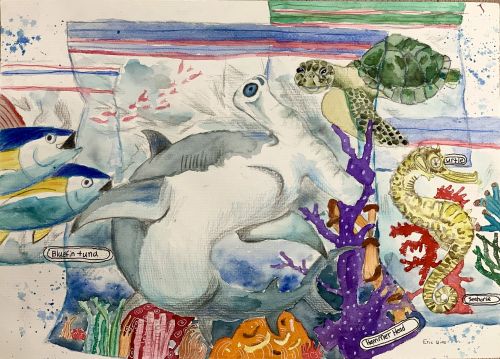 1st place, Eric Qiao, 11 years old, Canada, 2023