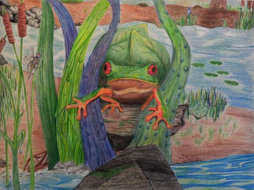 1st Place Winner, Reshma Modi, New Jersey, USA, Frogs Are Green Kids Art Contest, Best of Jersey City