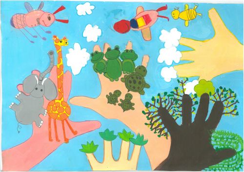 1st-place-Rose-Golestan-6-yrs-Iran