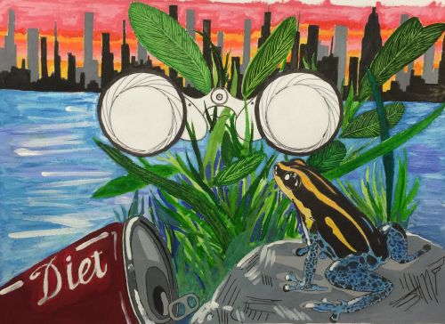 2-Mohsen Abdalla, 17 years old, JC, NJ, USA