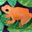 Caroline-Tew-15-years-old-Frogs-are-orange-Jersey-City-NJ-USA thumbnail