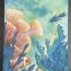 1st place Alejandra Lainez Santos, 12 yrs old, Jersey City, NJ, USA 2024 thumbnail
