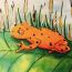 2-Claire Lee, 10 years old, CA environmental thumbnail