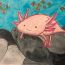 4-Claire Kim, 9 years old, CA, USA thumbnail
