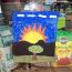 City-of-Trees-Window-Painting-Central-Ave-JC-34 thumbnail