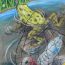 George Liu, 15 yrs old, Warren, NJ, USA thumbnail