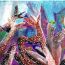 HM-Abhay Pahwa, 8 years old, San Jose, CA, 2024 thumbnail