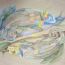 Lukyanova Evgenia, 17 years old, Russia thumbnail