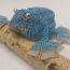 Paula Nataniela Roba, 15 year old, Latvia, Wallace flying frog thumbnail