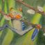 Shane-Meledathu-grade10-McNair-JC.jpg thumbnail