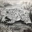 Sunattra Kongvach, 15 yrs old, Thailand, 2019 thumbnail
