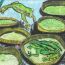 1st-Place-Roshni-KR-12yrs-India.jpg thumbnail