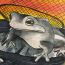 3-Daniel Myoung, 9 years old, USA thumbnail