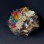 3rd-place-Justin Cho, 12 years old, California, USA, 2024, 3d thumbnail