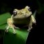 photo contest_2016_2 thumbnail