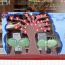 City-of-Trees-Window-Painting-Central-Ave-JC-71 thumbnail