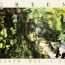 Green-Earth-Day-Poster-800p thumbnail