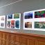 Student-artworks-jersey-city-city-hall-Frogs-Are-Green-exhibition-may-2015-curated-by-Susan-Newman thumbnail