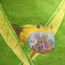 William Kim, 11 years old, USA thumbnail