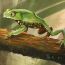 1-Ian Lee, 15yrs old, MA, USA thumbnail
