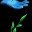 1st-place-3d-Madeleine Lee, 15 years old, CA, USA, Water, the beginning of life, 3D, 2023 thumbnail