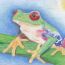 2-Zakiyah Hasanah, 12 years old, Indonesia thumbnail