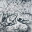 2nd-Place-Ardchawin-Keereewan-age-13-Thailand-Best-BW-2025 thumbnail