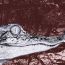 Amelia Stebbing, 17, Jensen Beach Florida, 2019 thumbnail