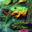 Fatahillah-Faisal-Rizqiawan-12yrs-Indonesia.jpg thumbnail