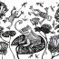 Kochetova Elizaveta Vyacheslavovna 12 years old Frog dreams Russia-BW thumbnail