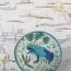 Mia Woodard, 13 years old, Jersey City, NJ, 2021, best enviro thumbnail