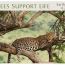 Trees-Support-Life-F2013 thumbnail