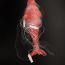 Zhao Ziqi, 9, China, sculpture-The end of the whale thumbnail