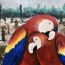 1st place, Hailin Zheng, 13 years, Canada thumbnail