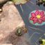2-Backyard-frog-2015-winner-Kristin DeAngelis thumbnail