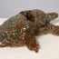 2nd-Place-Wu Yutong, 7, China, porcelain sculpture-Sea turtle thumbnail