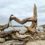 3rd-Place-Marina-Milenova-Katsarska-15 years-Bulgaria-2025 thumbnail
