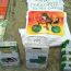 Frogs-are-green-tshirts-books-education thumbnail
