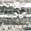 HUANG.HSIANG-CHING, 15 years old, Taiwan, 2023 thumbnail