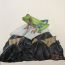 Yincheng Qian, 13 years old, United States, winner 2020 thumbnail