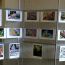 frogs-are-green-art-exhibition-2017 thumbnail