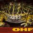horned-frog-poster-700px thumbnail