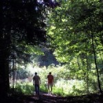 Father's Day 2011 – 7 Ways to Enjoy Nature with Your Kids