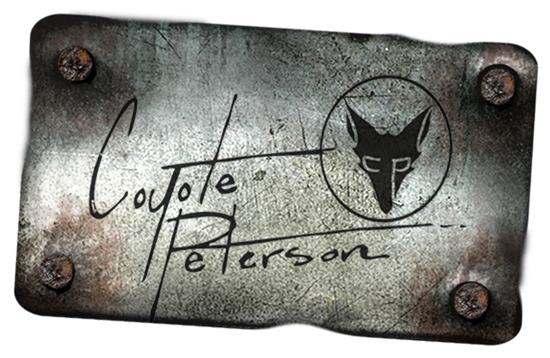 coyote peterson logo