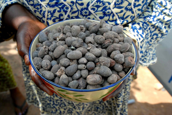 shea nuts - kiroja - organic products
