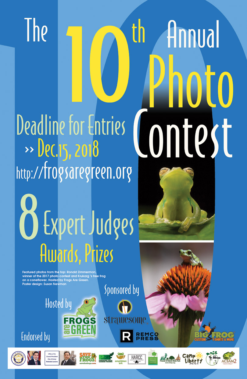 10th photo contest hosted by frogs are green