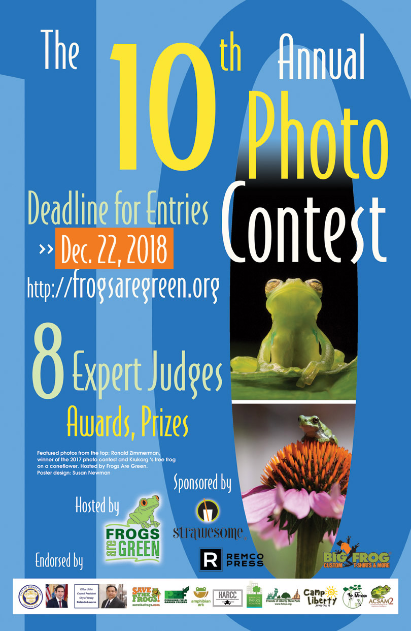 10th annual photo contest hosted by Frogs Are Green. Theme: Saving Life in the Rainforest.